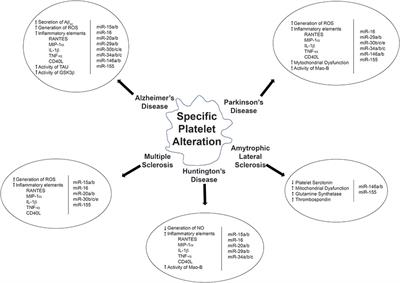 Decoding the Role of Platelets and Related MicroRNAs in Aging and Neurodegenerative Disorders